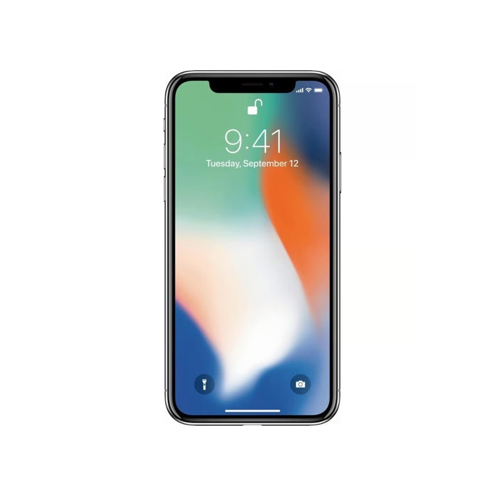 iPhone X
